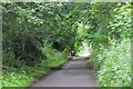 A leafy walk through suburban Edinburgh in EH5 2HL