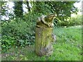 Ferndown LNR: frog carving in ST5 4HD