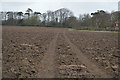 Footpath across field in Iford