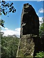 The Rivelin Needle, Rivelin Rocks in S6 6GD