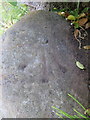 Rivet bench mark on a milestone on Old Aston Hill in CH5 1UL