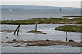 Saltmarsh near high tide in SO41 5SP