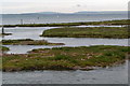 Saltmarsh and Solent in SO41 5SP