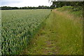 Path along field edge at Pylewell Park in SO41 5SJ