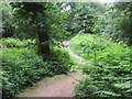Track and road, Haydon Common in EX6 8EU