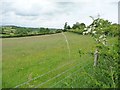 Farmland on the west side of the B6259 in CA16 6PT