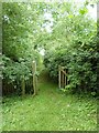 Churchyard gate and path, Berners Roding, Essex in CM5 0SZ
