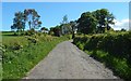 Track to Kilmahew Farm in G82 5PJ