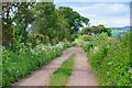 Farm track north of Chirnside in TD11 3XT