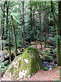 Enormous gritstone boulder above Ravens Gill in HG3 5HU