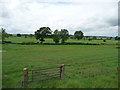 Farmland alongside the B6259, north-east of Sandford in CA16 6NU