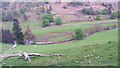 View down to Grisedale Beck in CA11 0FJ