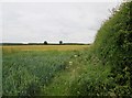 Arable  fields  south  of  Highgate in Cherry Burton