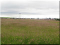 Grass field on the edge of Dearham in CA15 7ER