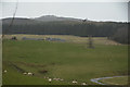Perth and Kinross : Countryside Scenery in PH16 5LN