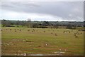 Hay bales on the floodplain of the River Avon in SN15 4LS