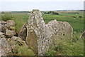 Hill of Fiddes Recumbent Stone Circle (3) in AB41 6QR