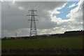 Perth and Kinross : Grassy Field & Pylon in PH2 0PW