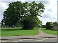Tree and footpath, west of Longthorpe Primary School in PE3 6SS