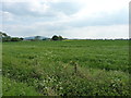 Arable land near Long Lane in TF5 0BY