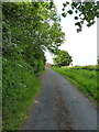 A short stretch of the Old Road at Long Lane in TF6 6HG