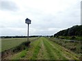 Nesting box beside the Old River Ancholme in DN20 9JW
