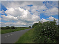 Flowering hedgerows near Ufford, Peterborough in PE6 7EN