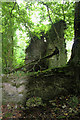 Brickwork's ruins near Shedrick Bridge in TA20 4NB