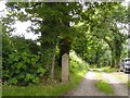 Access road to Witherdon farm and manor in Germansweek