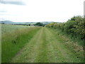 Farm track towards Kimmerston in NE71 6JH