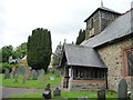 Yew tree, western end of the churchyard, Tregynon in SY16 3EH