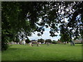 Children's play area opposite the parish church in Coates and Eastrea