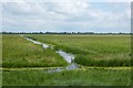 Drain on the Nene Washes in PE7 1RH