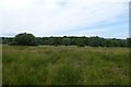 Grassland beside Overton Lake in PE3 6RU