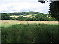Farmland off Millbrook Lane in SP3 6BY