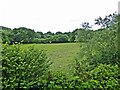 Grassland and Woods in PL30 4AS