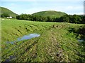 Public footpath heading south to Cwm Ffinannt in SY17 5AD