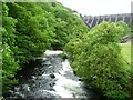 Afon Clywedog at Bryntail Mine in SY18 6NZ