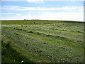 Drying the hay at Gord Farm in ZE2 9JD