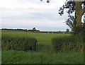 Small gate into a field in Thorpe Langton