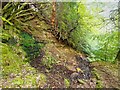 Path above the Allt Graad in IV16 9XR