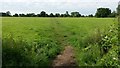 Path across field at Claverton Down in BA2 7AR
