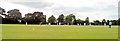 Cricket at Chelmer Park, Chelmsford in CM2 8PW