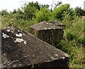 WW2 Tank defences at Donyatt Halt in TA19 0SD