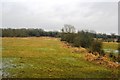 Rough grassland, Kennet Valley in RG30 3JL