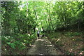 Partway Lane above the ford in TA20 4NP