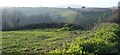 Field and view west of Whitecross in DT6 5NH
