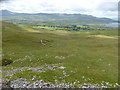 Large sheepfold below Craiglaseithin in Trawsfynydd Community