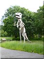 Tyrannosaurus Rex, Teesaurus Park in TS2 1LU