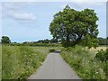 National Cycle Network route 14 near Greatham in Fens & Greatham Ward